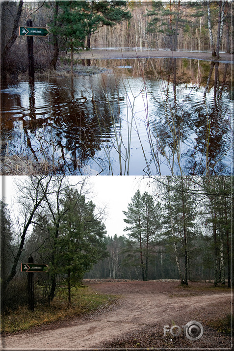 Gauja - aprīlis 2010 / novembris 2010... nez kāds būs pavasaris 2011...