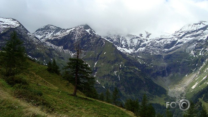 Alpi