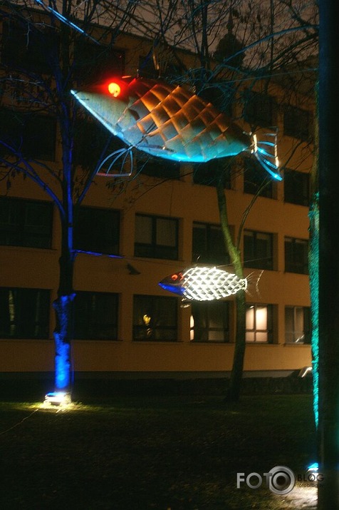 Staro Rīga 2010 18.nov