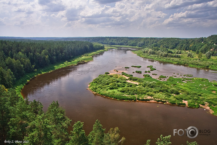 Daugavas lokos