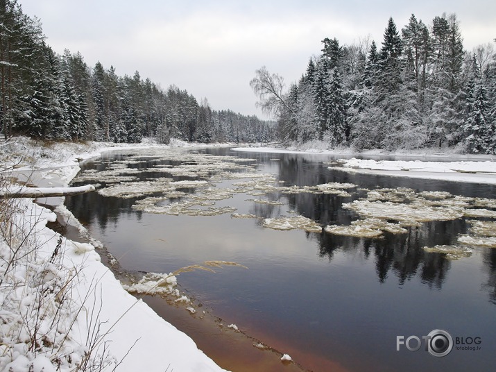 Gauja pie Vijciema-2.