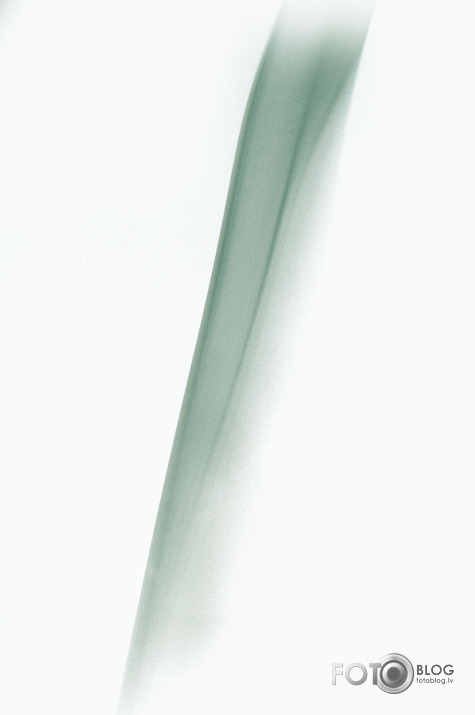 Dūmaka