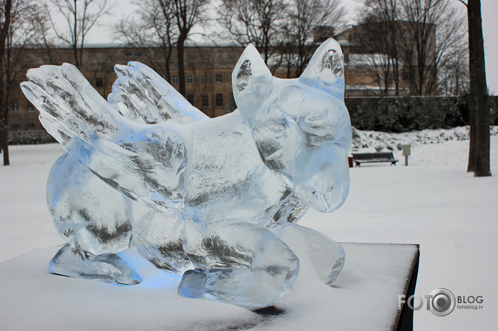 Ledus skulptūru festivāls pirms atvēršanas Jelgavā