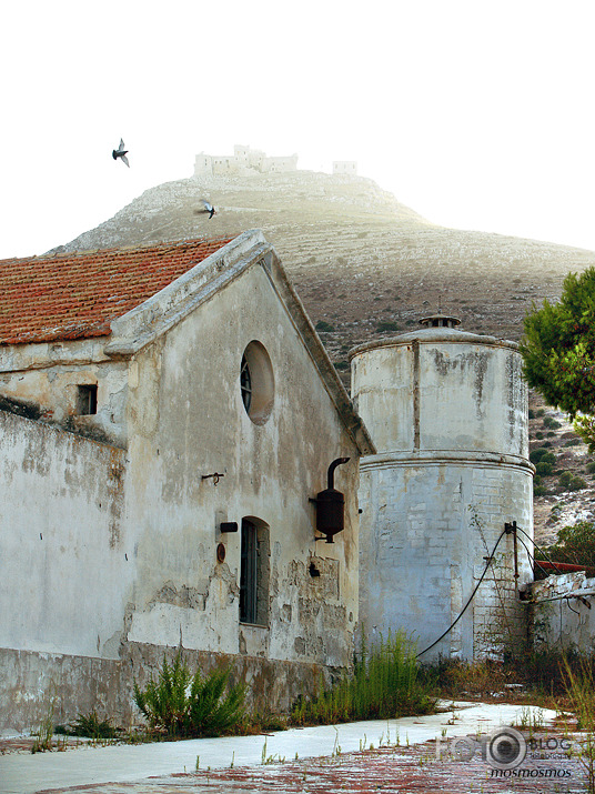 Favignana