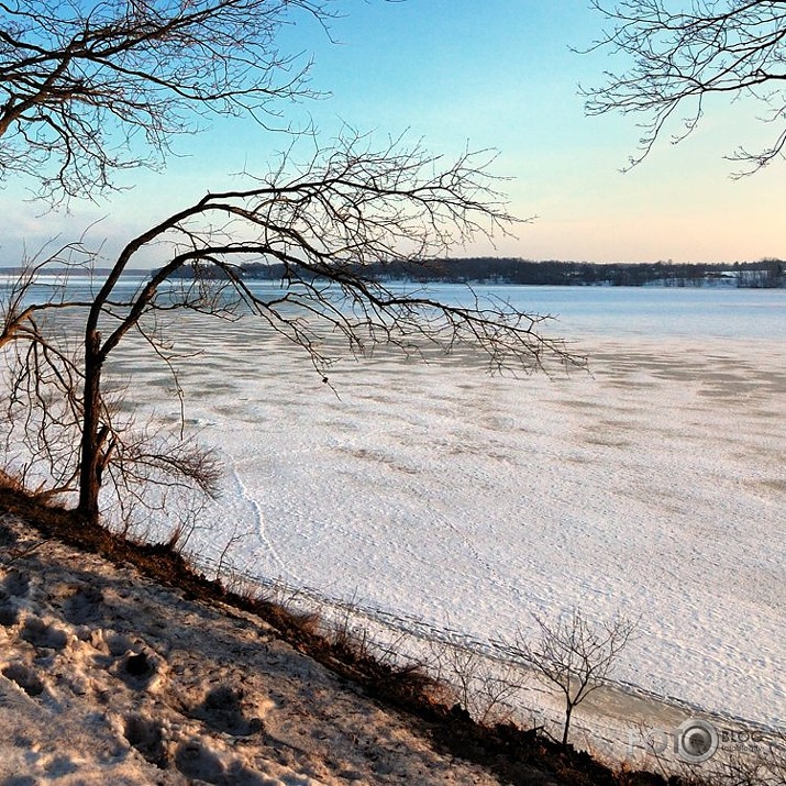 Daugava