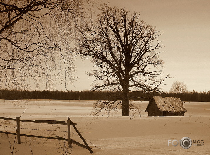 Latvijas lauki