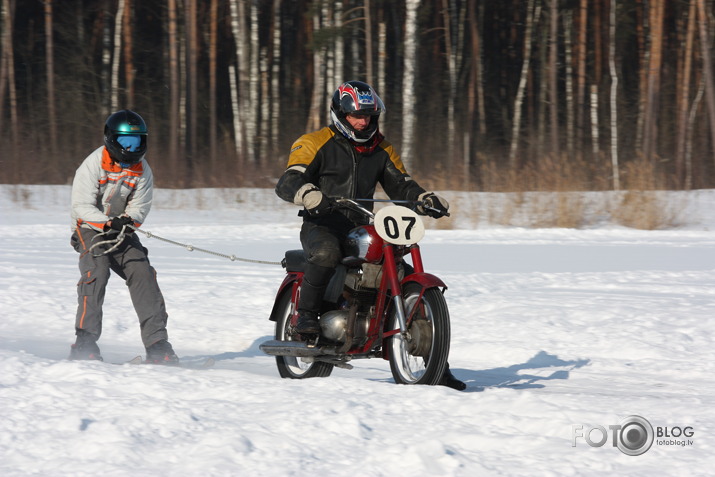 Skijorings
