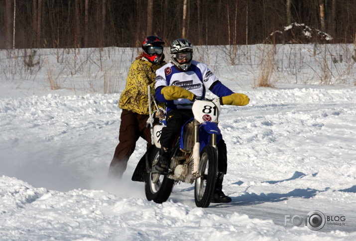 Skijorings