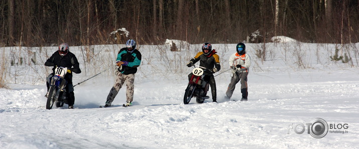 Skijorings