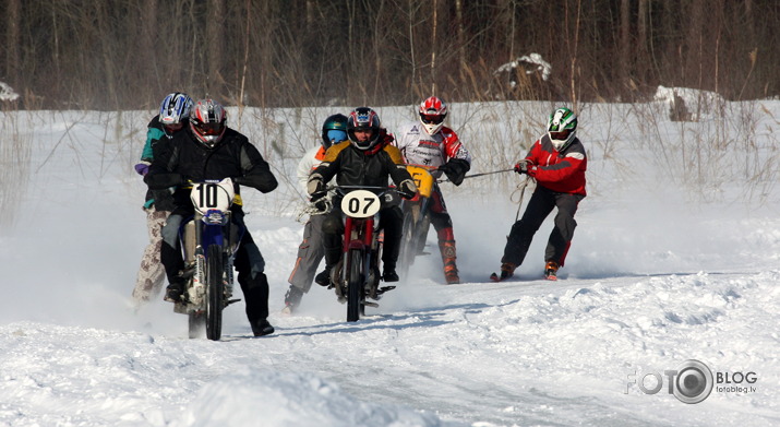 Skijorings