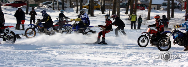Skijorings