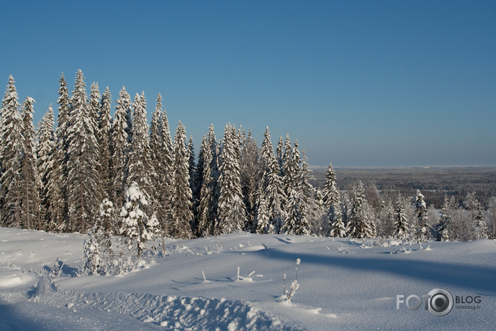 Ziemas ainiņas.