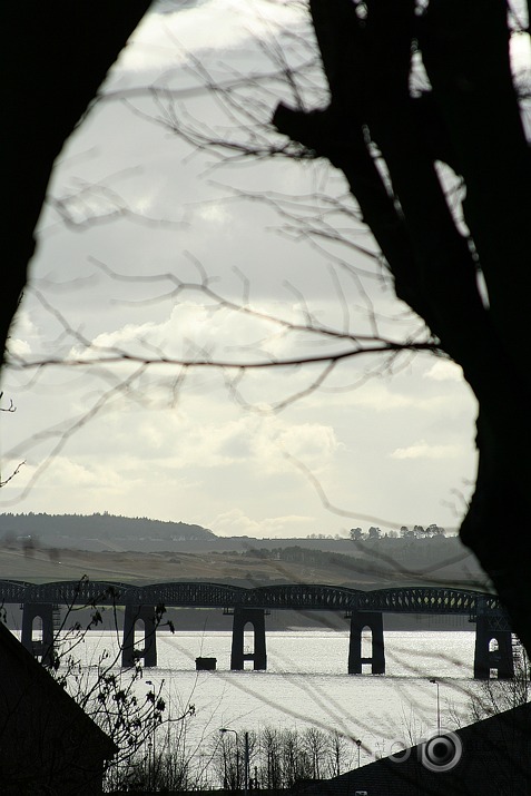 Pavasarīgā Dundee