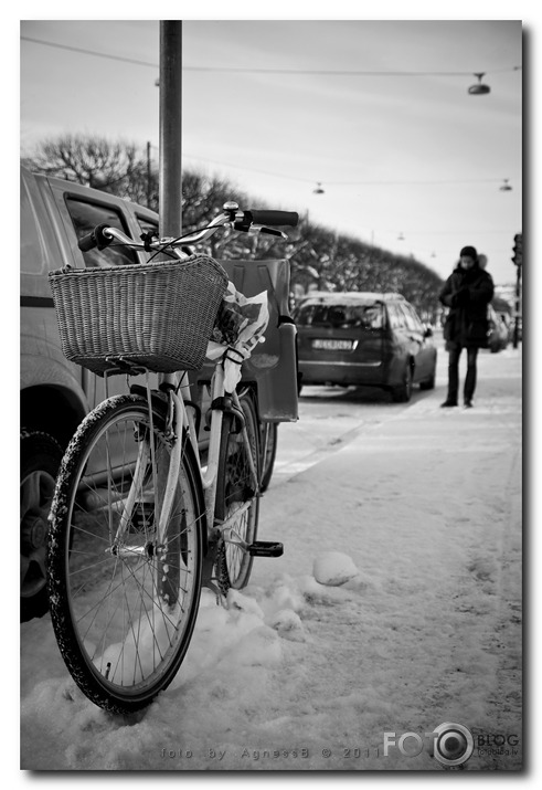 ○°○ Swedish winter bicycles ○°○