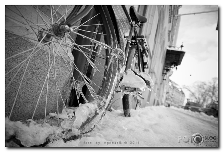 ○°○ Swedish winter bicycles ○°○