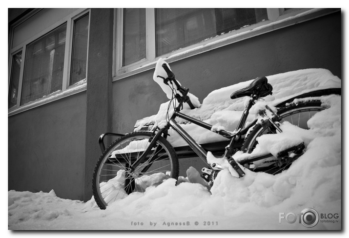 ○°○ Swedish winter bicycles ○°○