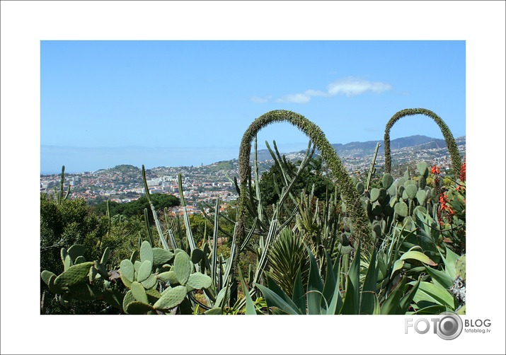 Madeira