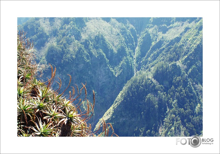 Madeira
