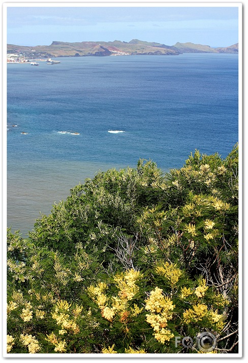 Madeira