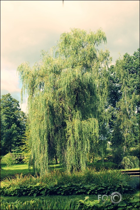 Cēsis :)