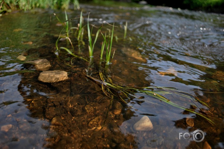 water