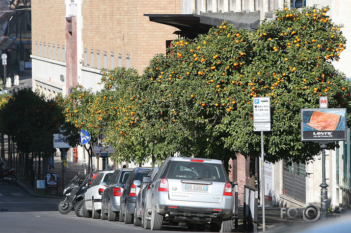 Vēsturiskā  Roma