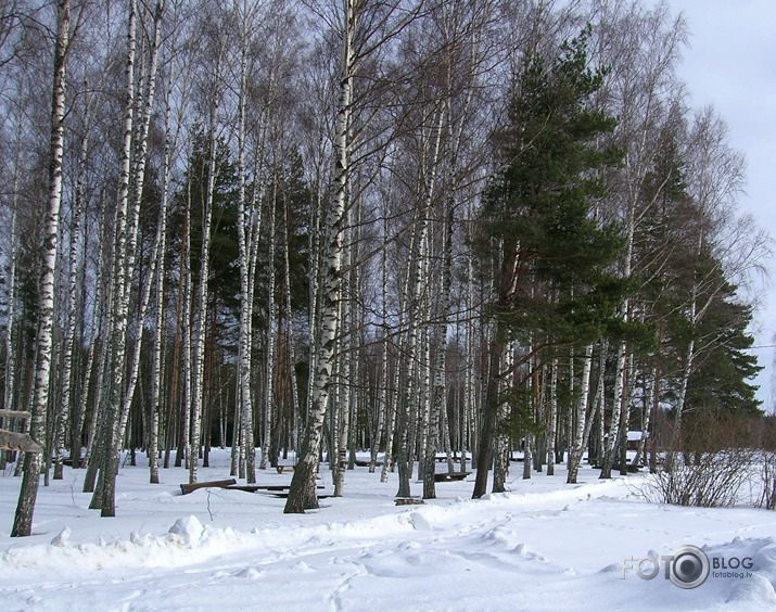 Vidzemes jūrmala.