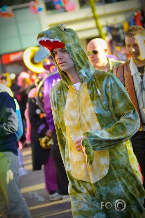 Dutch Carnival