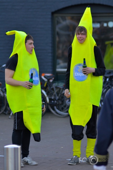 Dutch Carnival