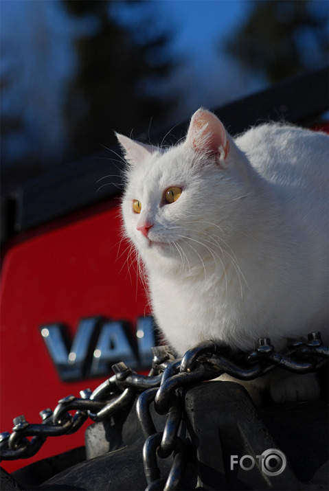 Valtra