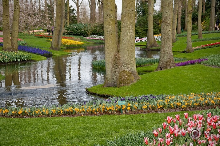 Keukenhof - Holland