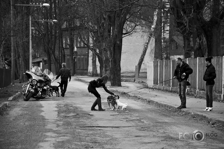 Kalnciema tirdziņš un Pārdaugavas cilvēki.