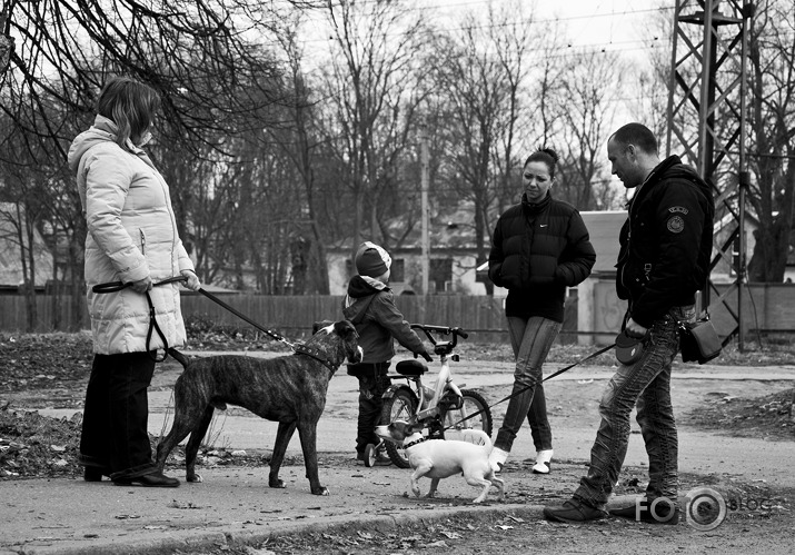 Kalnciema tirdziņš un Pārdaugavas cilvēki.