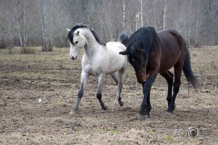 Mācies,sīkais,pareizi soļot