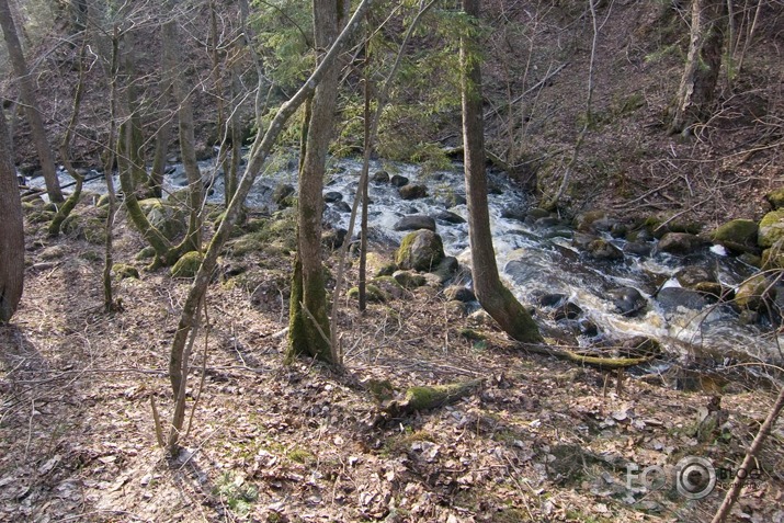 Veģerupītes (Akmeņupītes) krāces aprīlī