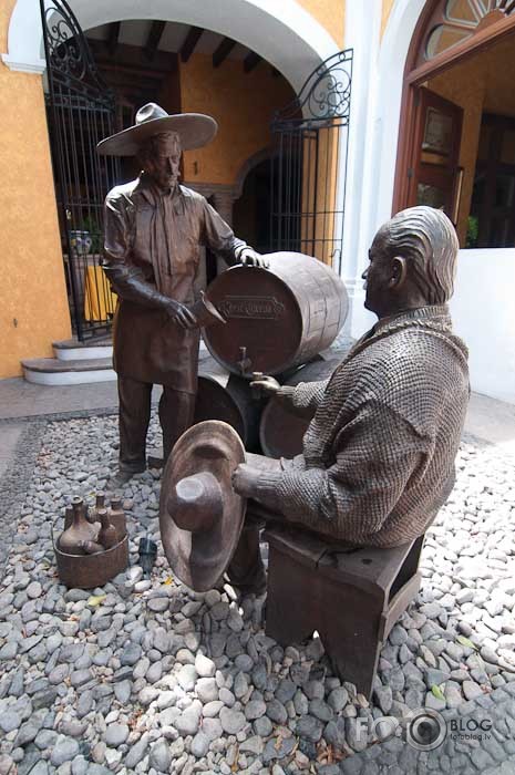 Teqila, Jalisco, Mexico.