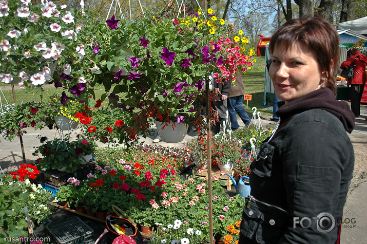 Stādu dienas Jelgavā