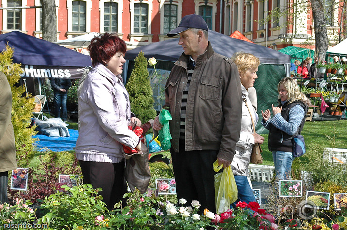 Stādu dienas Jelgavā