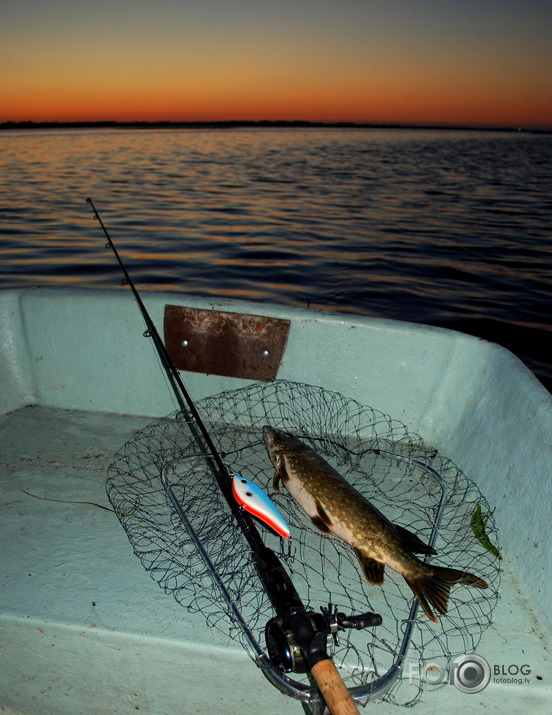 Liepājas ezers un saspinigotās līdakas:)