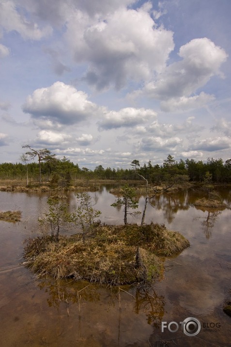 Raganu purva ainiņas