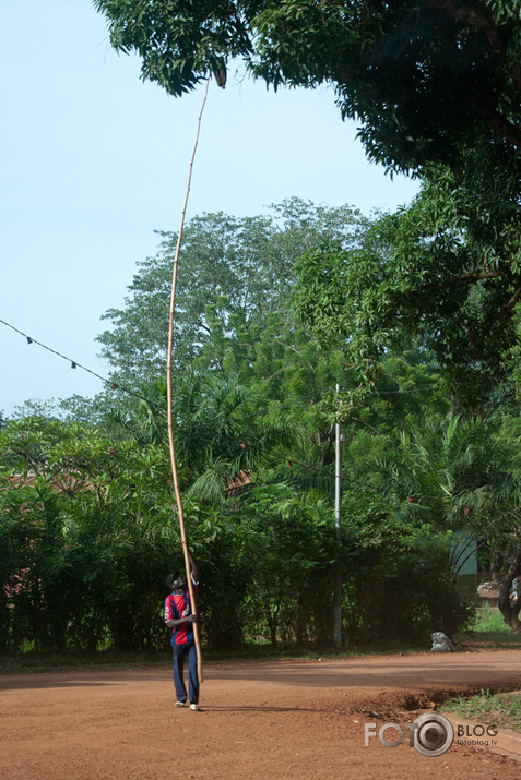 Ceļojuma piezīmes - Bangui, Centrālāfrikas Republika; 2011. gada maijs.