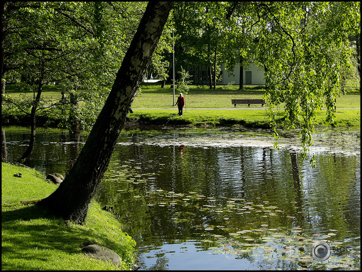 Sestdienas rīts Arkādijā .