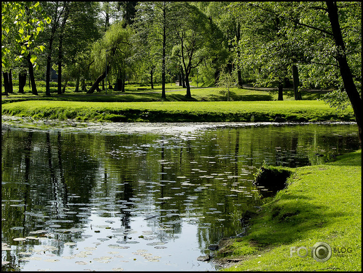 Sestdienas rīts Arkādijā .