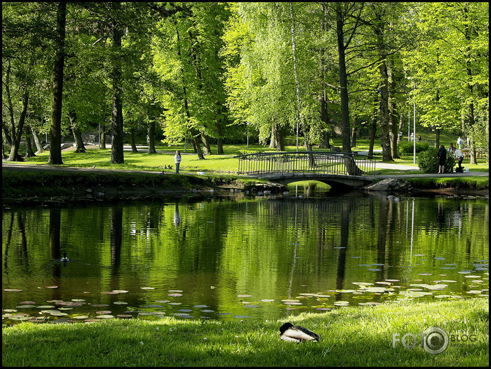 Sestdienas rīts Arkādijā .