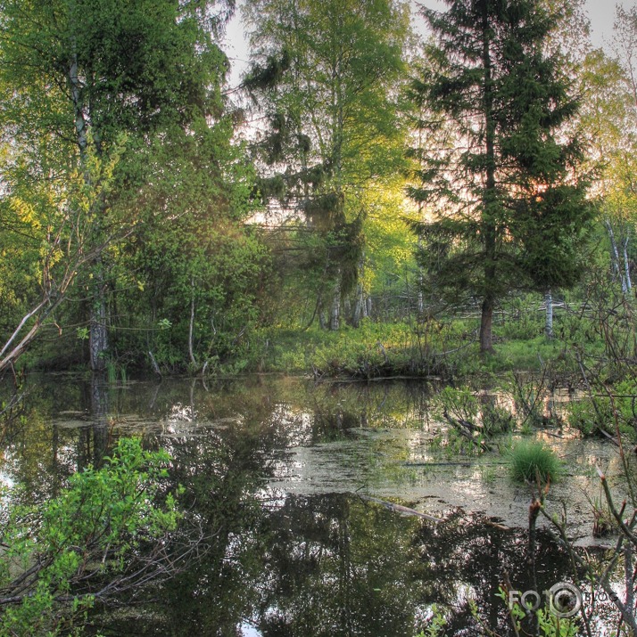 Naukšēnu dabas ainiņas