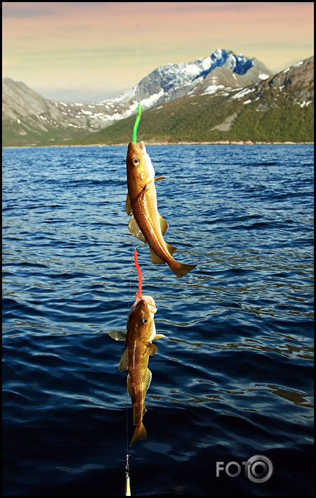 Norvēģija un svētdienas cope