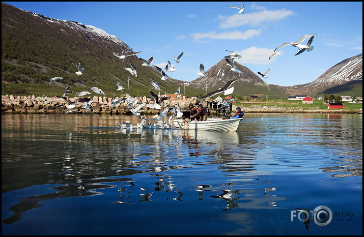 Norvēģija un svētdienas cope