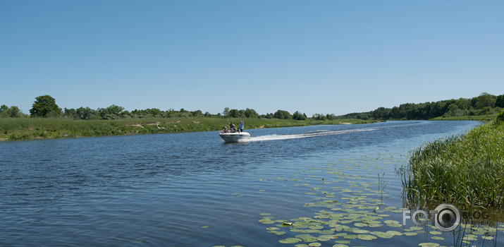 Peļļupirts 2011