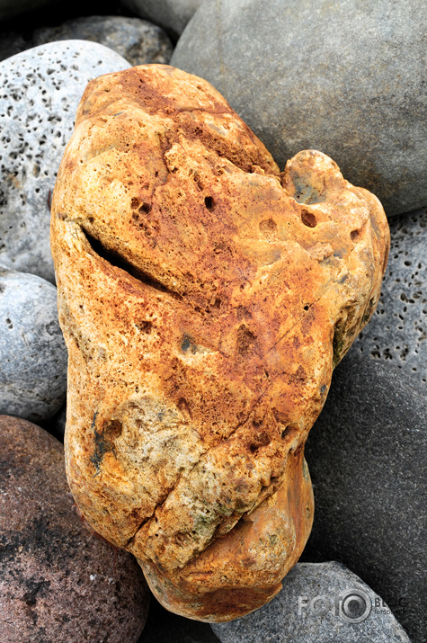 Okeāna "veltes"