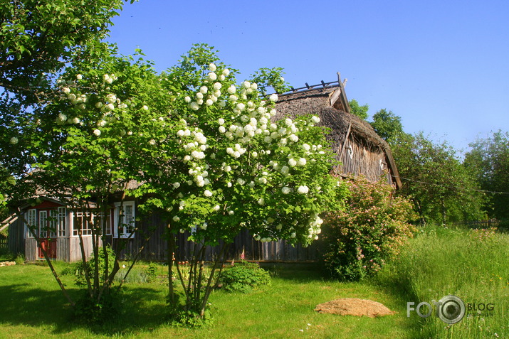 Papes "Vītolnieki".